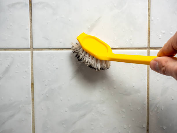 Best Mold Remediation  in Rancho San Diego, CA